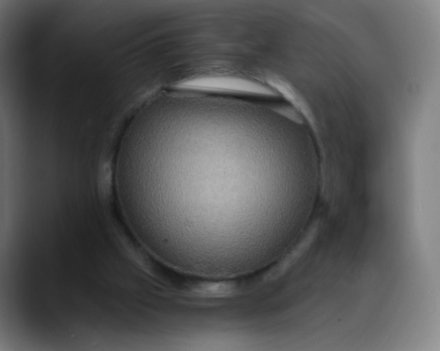 X0000089730057200707121456