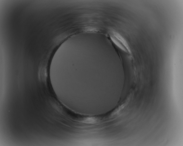 X0000089730059200707121456