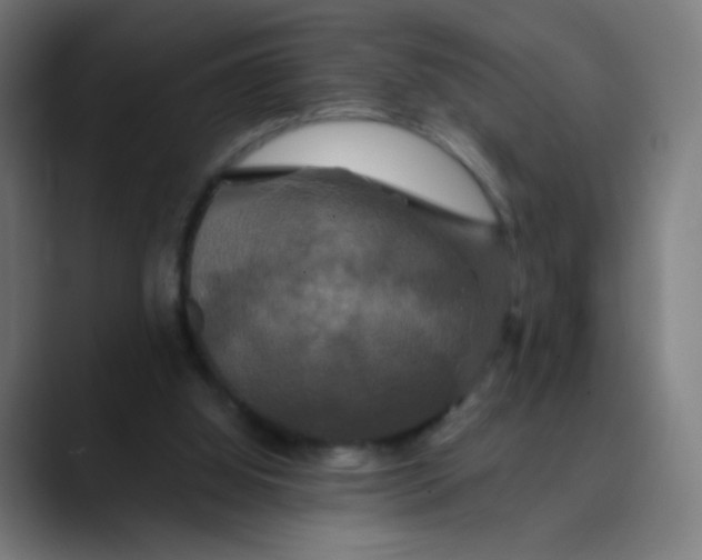 X0000089730060200707121456