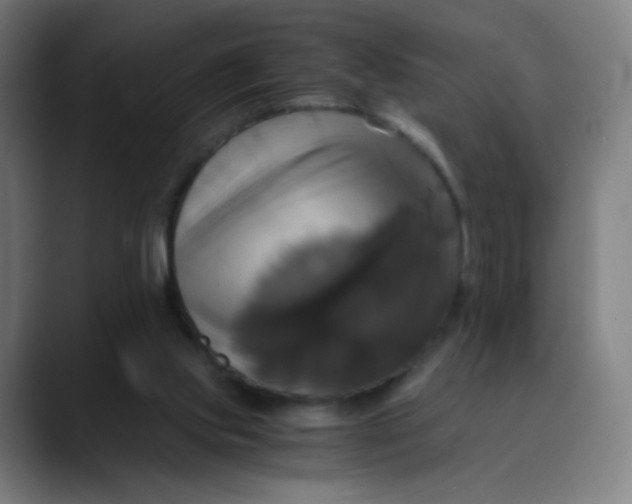 X0000089730061200707121456