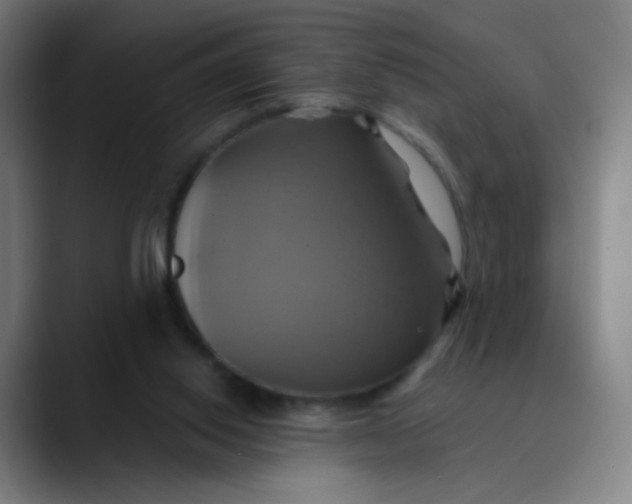 X0000089730062200707121456