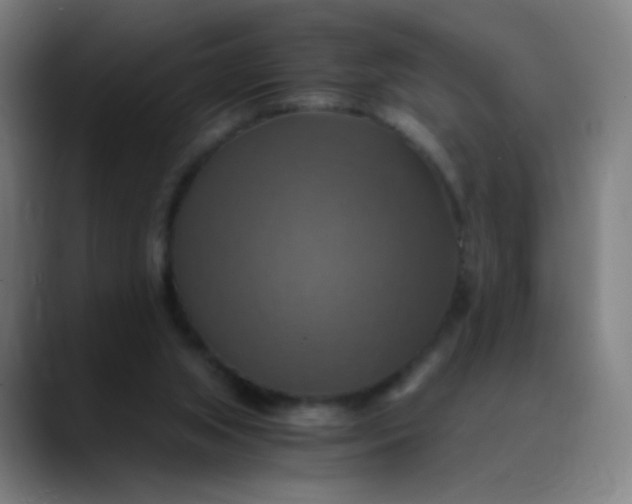 X0000089730063200707121456