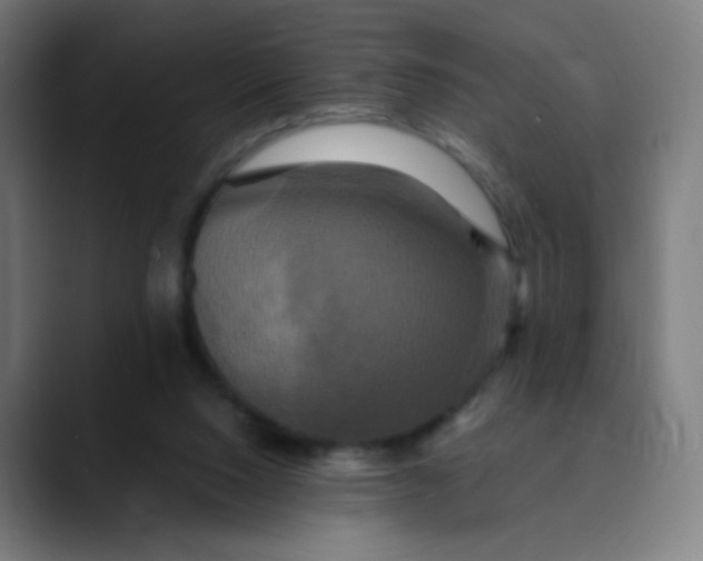 X0000089730064200707121457