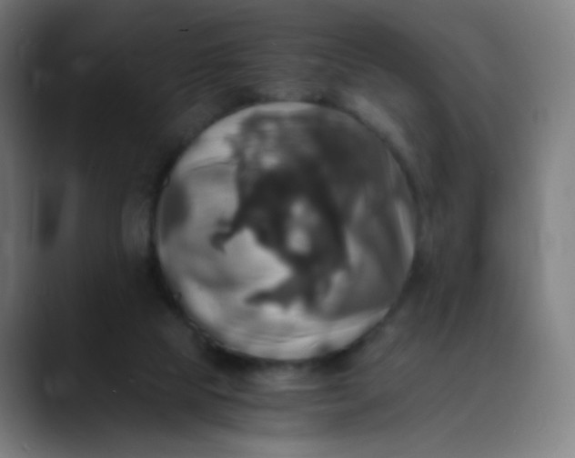 X0000089730065200707121457