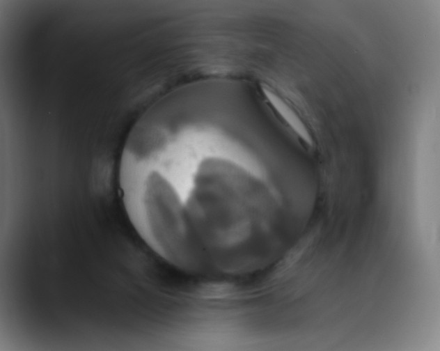 X0000089730066200707121457