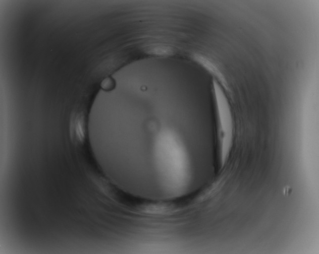 X0000089730069200707121457