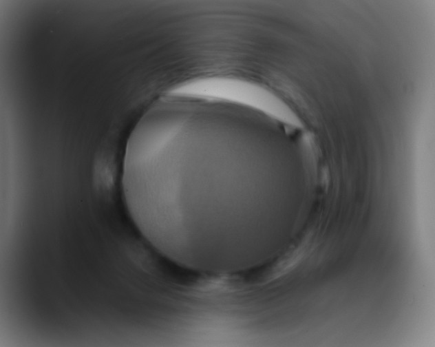 X0000089730072200707121457