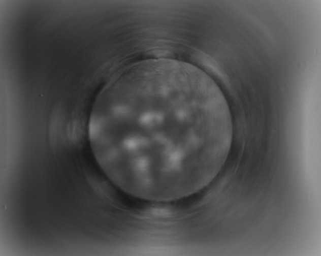 X0000089730073200707121457