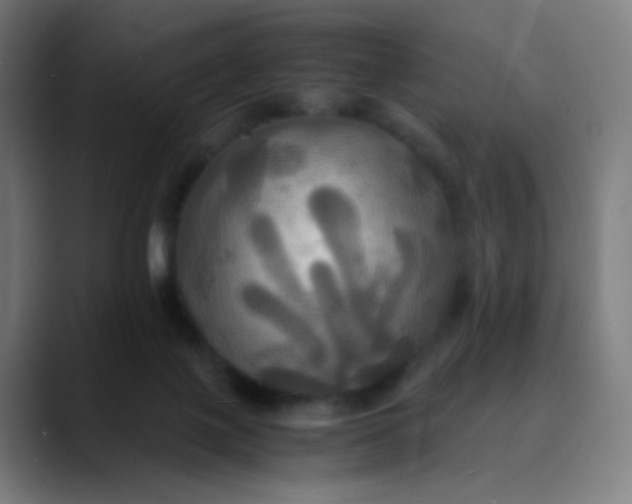 X0000089730075200707121457