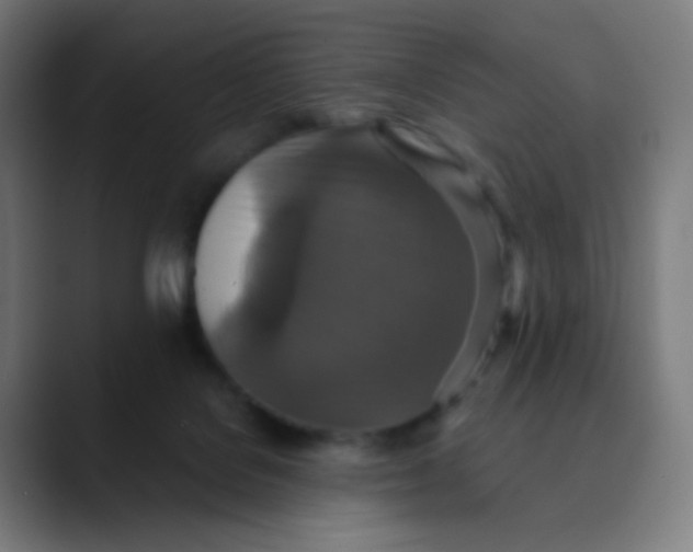 X0000089730076200707121457