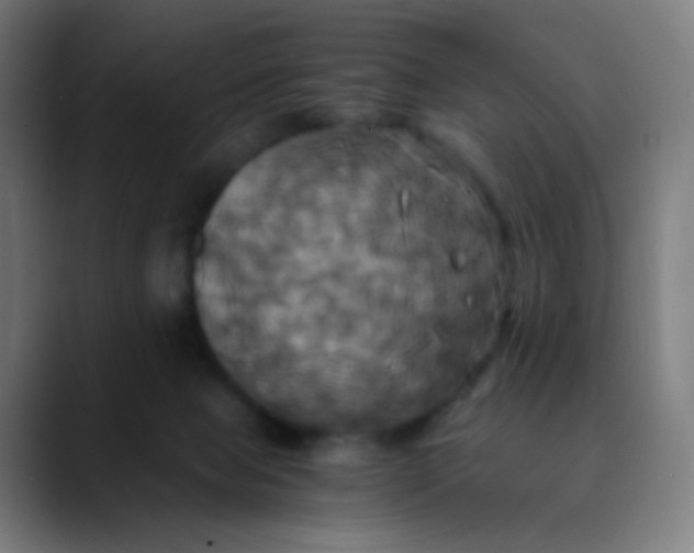X0000089730077200707121457