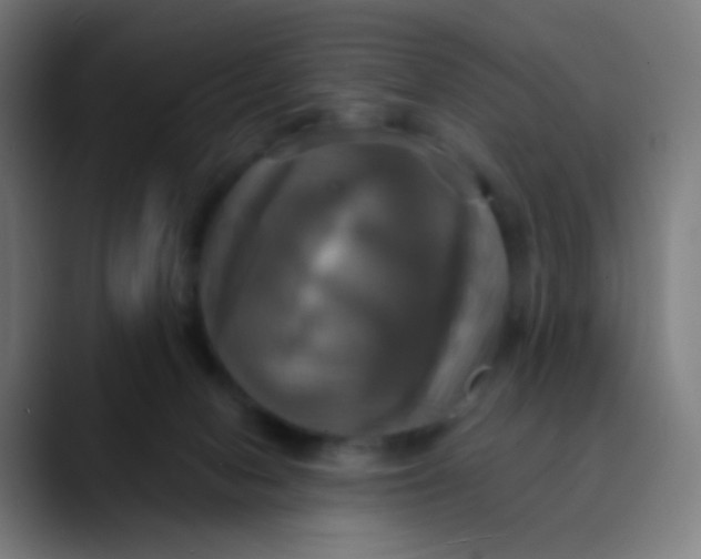 X0000089730078200707121457
