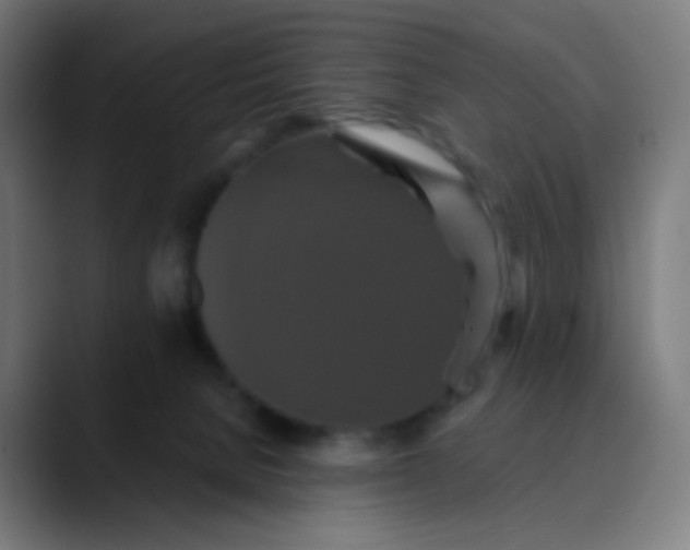 X0000089730080200707121457
