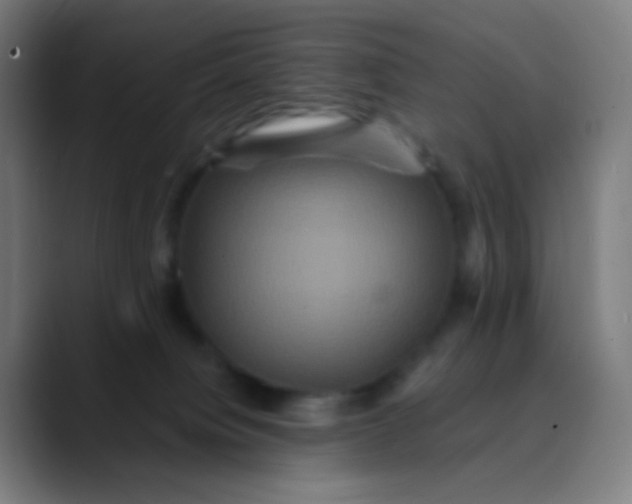 X0000089730084200707121457