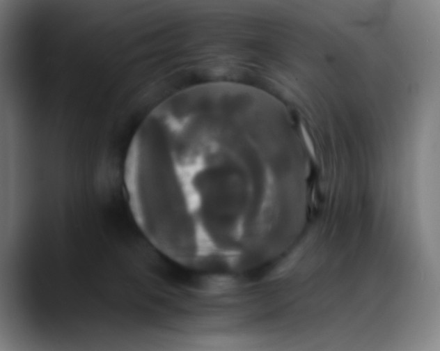 X0000089730085200707121457