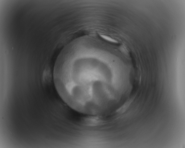 X0000089730086200707121457