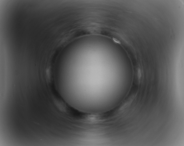 X0000089730088200707121457