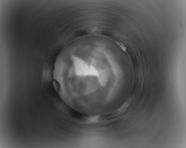 X0000089730090200707121457