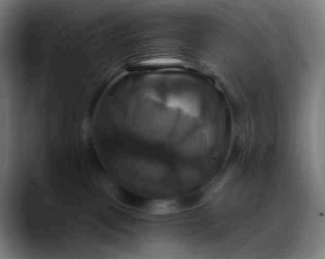 X0000089730093200707121457