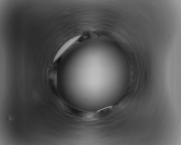 X0000089730096200707121457