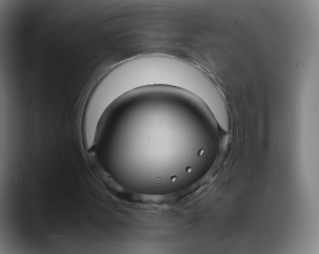 X0000089730099200707121456