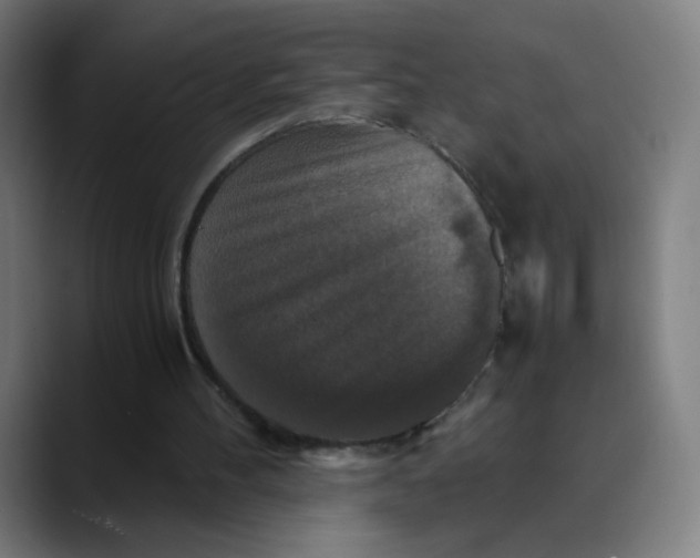 X0000089730100200707121456