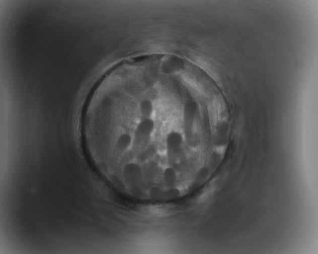 X0000089730103200707121456