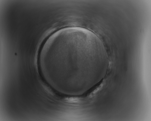 X0000089730104200707121456