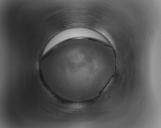 X0000089730105200707121456