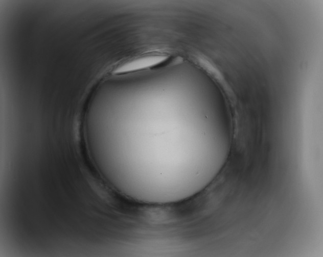 X0000089730106200707121456