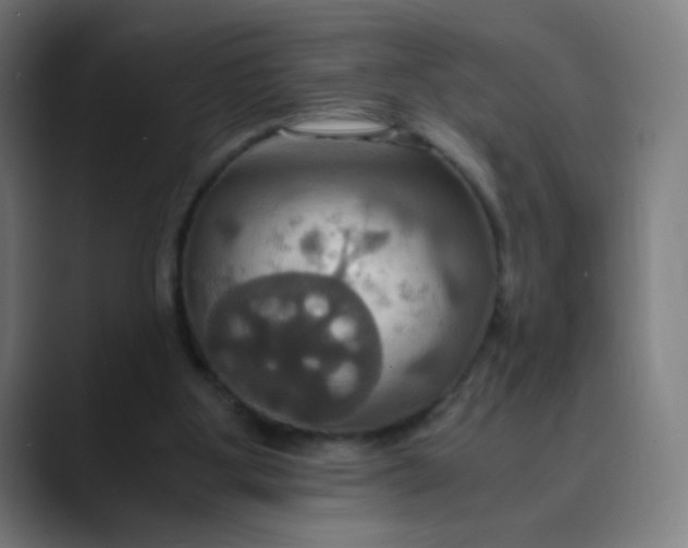 X0000089730107200707121456