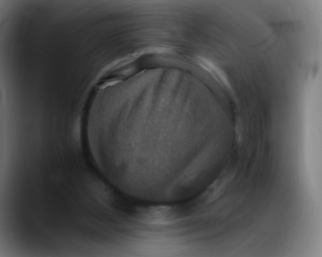 X0000089730108200707121456