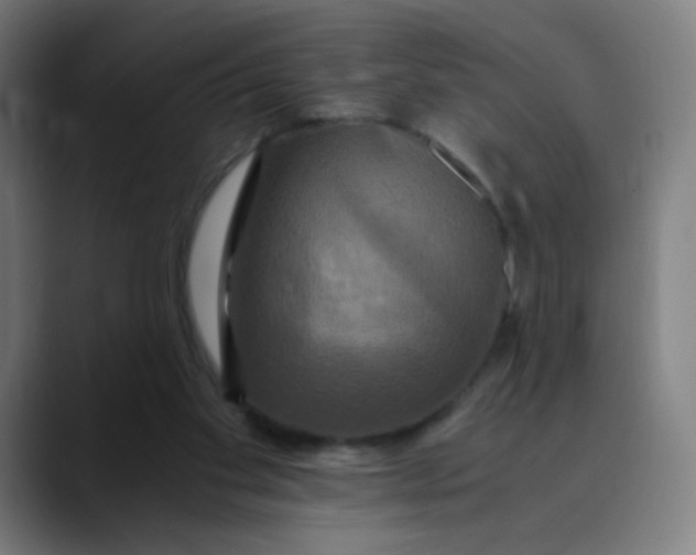 X0000089730109200707121456
