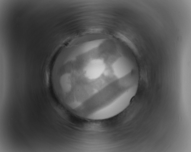 X0000089730110200707121456