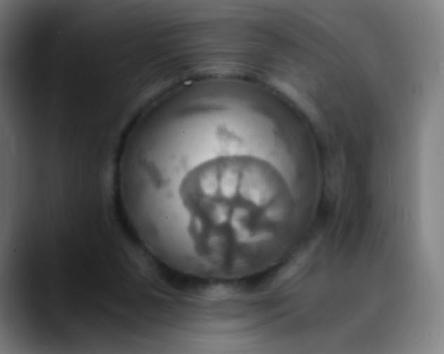 X0000089730111200707121456