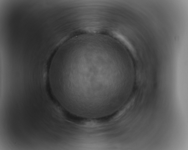 X0000089730113200707121456