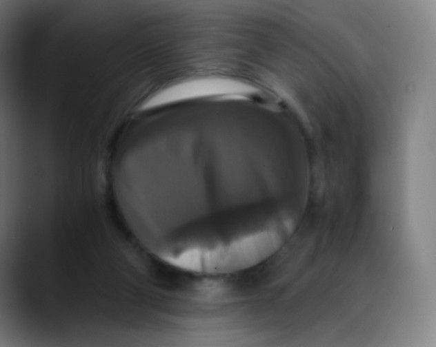 X0000089730114200707121456