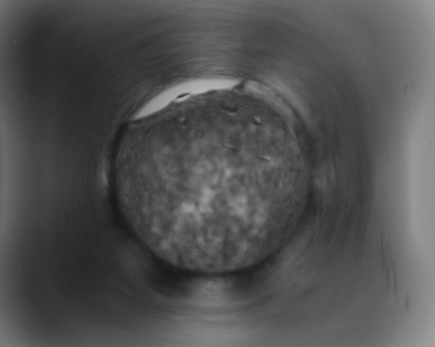 X0000089730115200707121456
