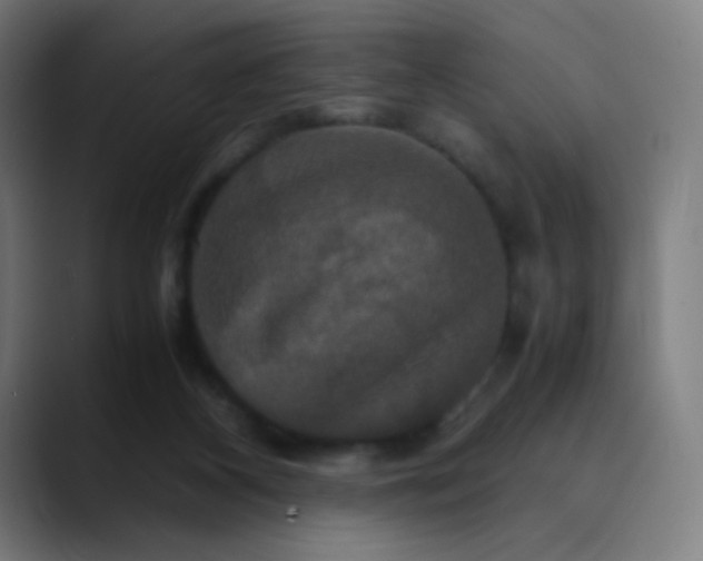 X0000089730116200707121456