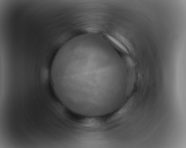 X0000089730117200707121456
