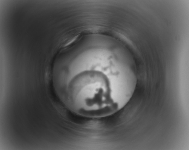 X0000089730119200707121456