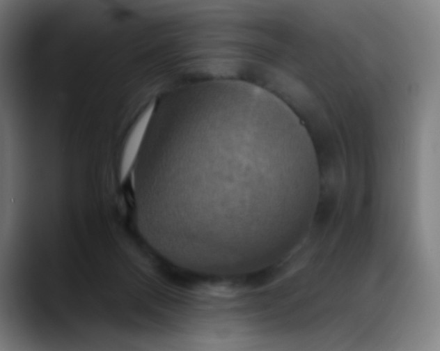 X0000089730120200707121456