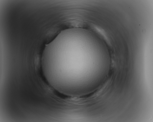X0000089730121200707121456