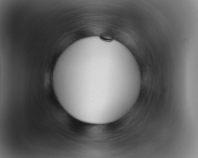 X0000089730122200707121456