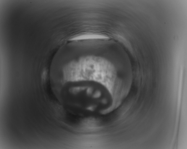 X0000089730123200707121456