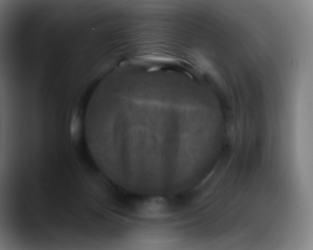 X0000089730124200707121456