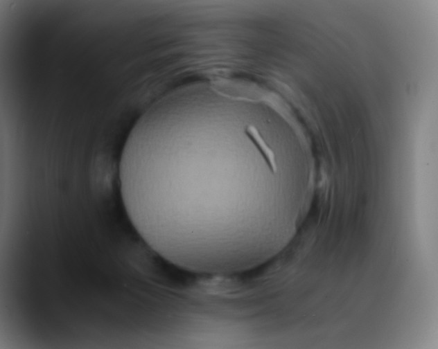 X0000089730125200707121456