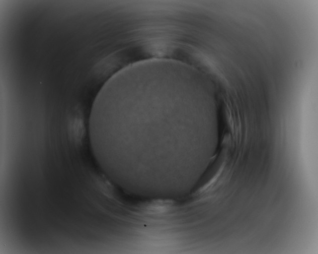X0000089730128200707121456