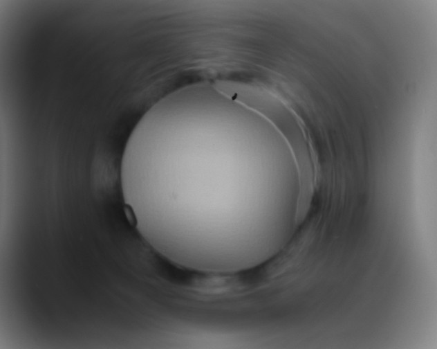X0000089730129200707121456