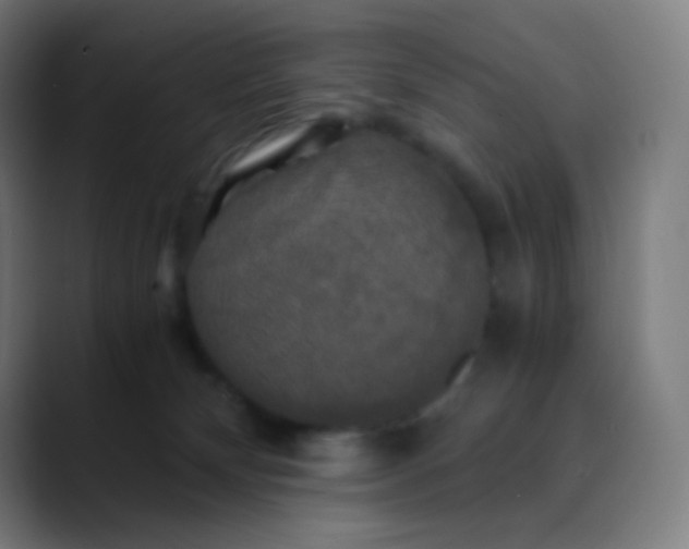 X0000089730132200707121456